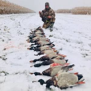 Meet your Posher, Tyler